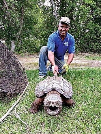 largest turtle ever caught